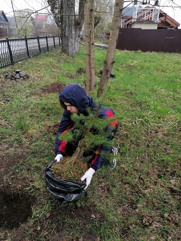 Информация по проведению акции «Сад памяти»